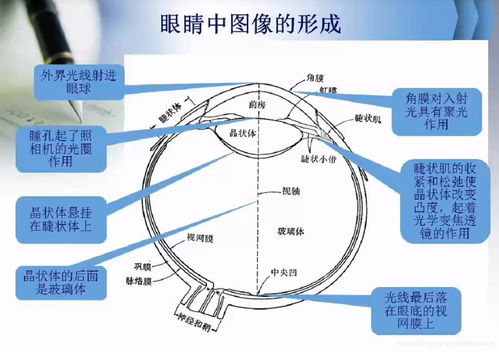 人工智能基礎(chǔ) 計算機視覺與圖像處理的核心課程